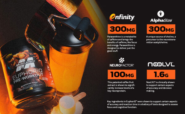 566bcb7b-c134-46e4-a15b-acb7735c4b4c.__CR0,0,970,600_PT0_SX970_V1___