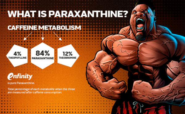 6c917a0a-c414-4a68-af50-f9fa3fc28dbf.__CR0,0,970,600_PT0_SX970_V1___