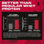 خرید نیتروتک ماسلتک (Muscletech NitroTech) | پروتئین + کراتین برای افزایش حجم عضلانی