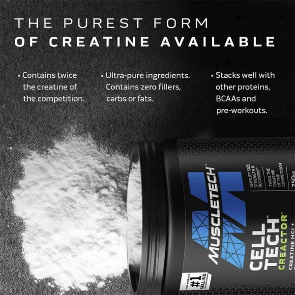 MuscleTech-Cell-Tech-Creactor-3-min