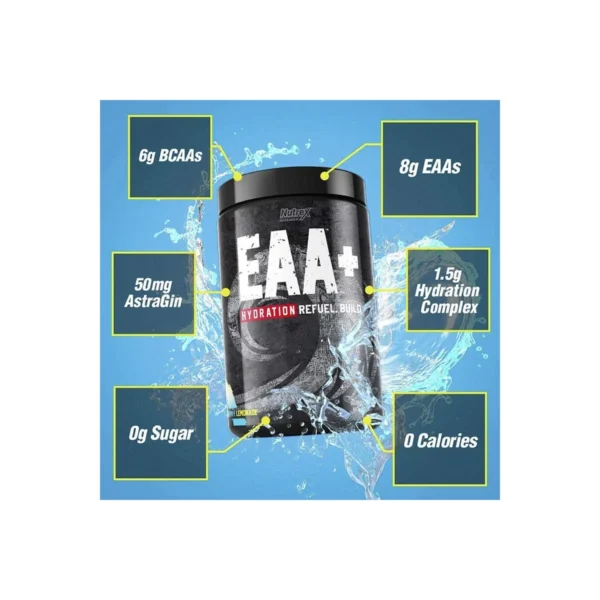 اینفوگرافیک ویژگی‌های کلیدی مکمل EAA نوترکس