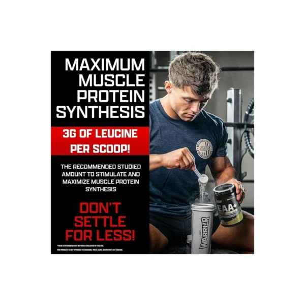 نقش EAA نوترکس در سنتز پروتئین عضلانی