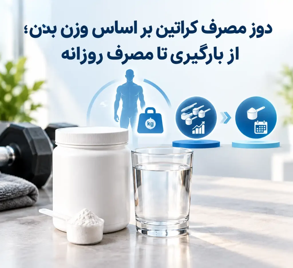 تصویر آموزشی دوز مصرف کراتین بر اساس وزن بدن از فاز بارگیری تا مصرف روزانه